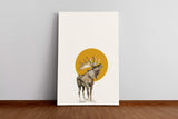 Tiere_0643OvEVjzWlvWwY_1280x1280.jpg