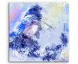 full_Kingfisher_60x60cm_FRONTXkN48ieospcIM_1280x1280.jpg