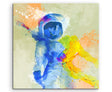 full_Astronaut_60x60cm_FRONT_1280x1280.jpg