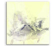full_Birds_60x60cm_FRONT_1280x1280.jpg