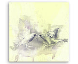 full_Birds_60x60cm_FRONT_1280x1280.jpg