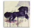 full_Black_Horse_60x60cm_FRONT_1280x1280.jpg