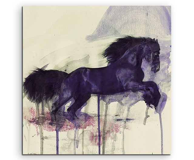 full_Black_Horse_60x60cm_FRONT_1280x1280.jpg