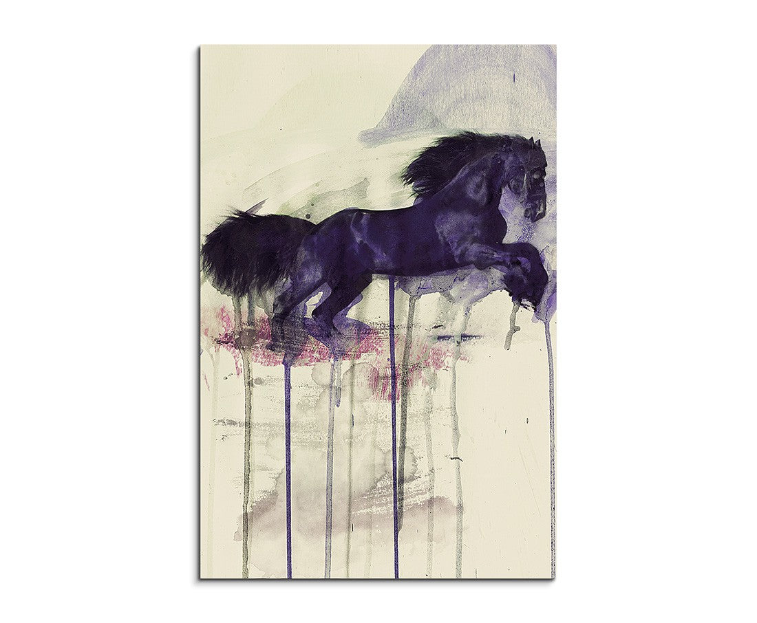 full_Black_Horse_90x60cm_FRONT_1280x1280.jpg
