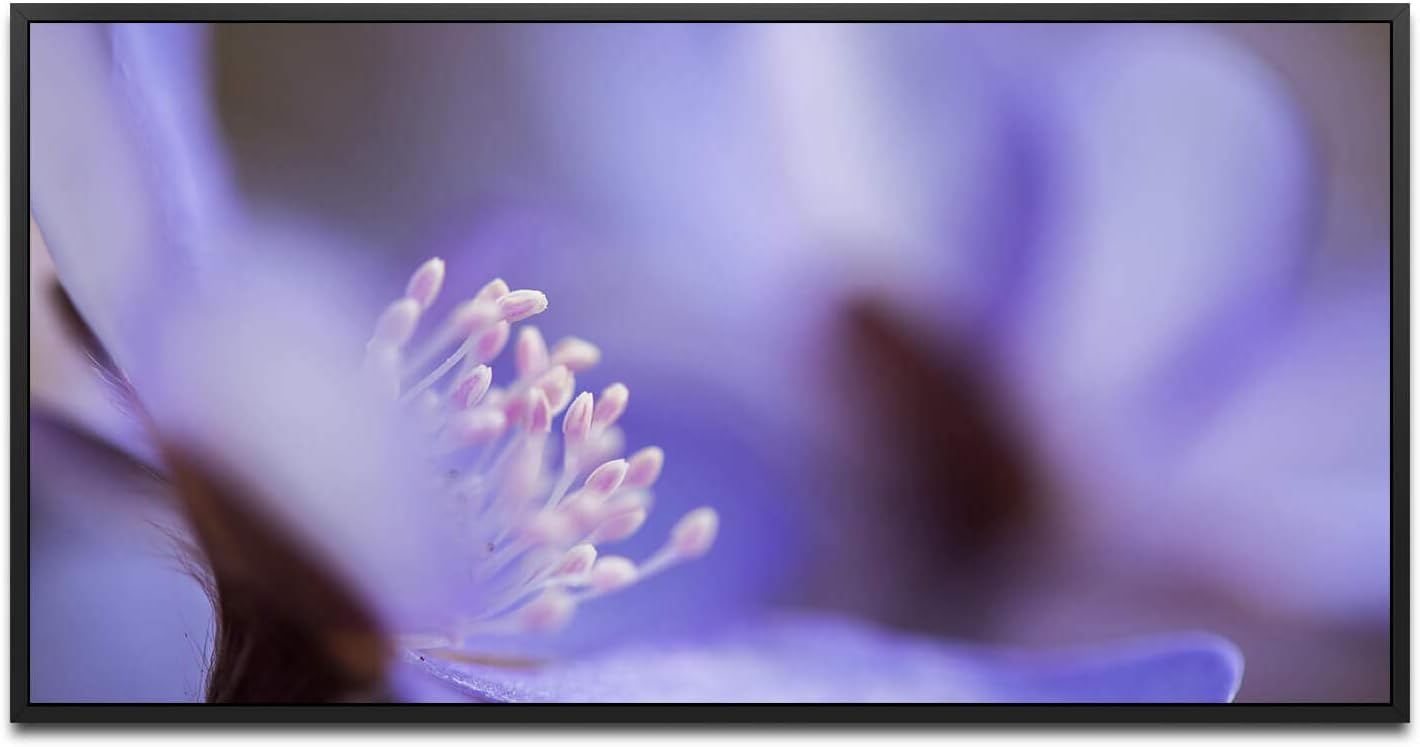 blaue Blume ca. 130x70cm Wandbild inklusive Schattenfugenrahmen schwarz - Panorama Leinwand Bild XXL Format Wandbilder Wohnzimmer Wohnung Deko Kunstdrucke