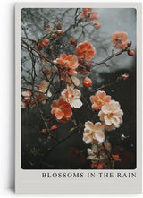 Paul Sinus Leinwandbild 60x90cm Blossoms in the Rain Leinwandbild zarte Blüten im Regen auf dunklem Hintergrund poetische Naturkunst