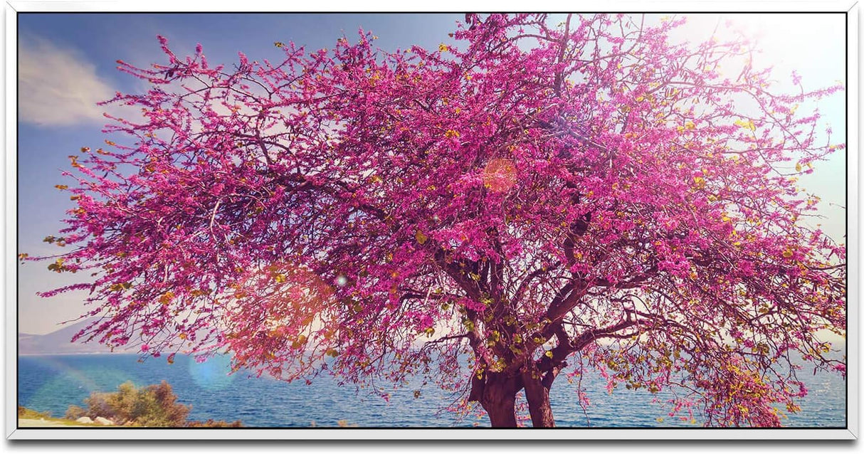 blühender Baum ca. 130x70cm Wandbild inklusive Schattenfugenrahmen weiss - Panorama Leinwand Bild XXL Format Wandbilder Wohnzimmer Wohnung Deko Kunstdrucke