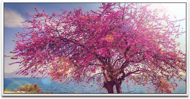 blühender Baum ca. 130x70cm Wandbild inklusive Schattenfugenrahmen weiss - Panorama Leinwand Bild XXL Format Wandbilder Wohnzimmer Wohnung Deko Kunstdrucke