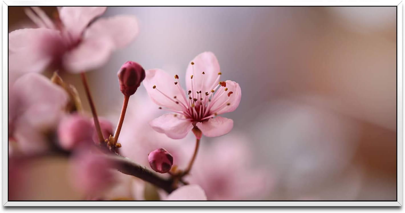 Blumen in rosa ca. 130x70cm Wandbild inklusive Schattenfugenrahmen weiss - Panorama Leinwand Bild XXL Format Wandbilder Wohnzimmer Wohnung Deko Kunstdrucke