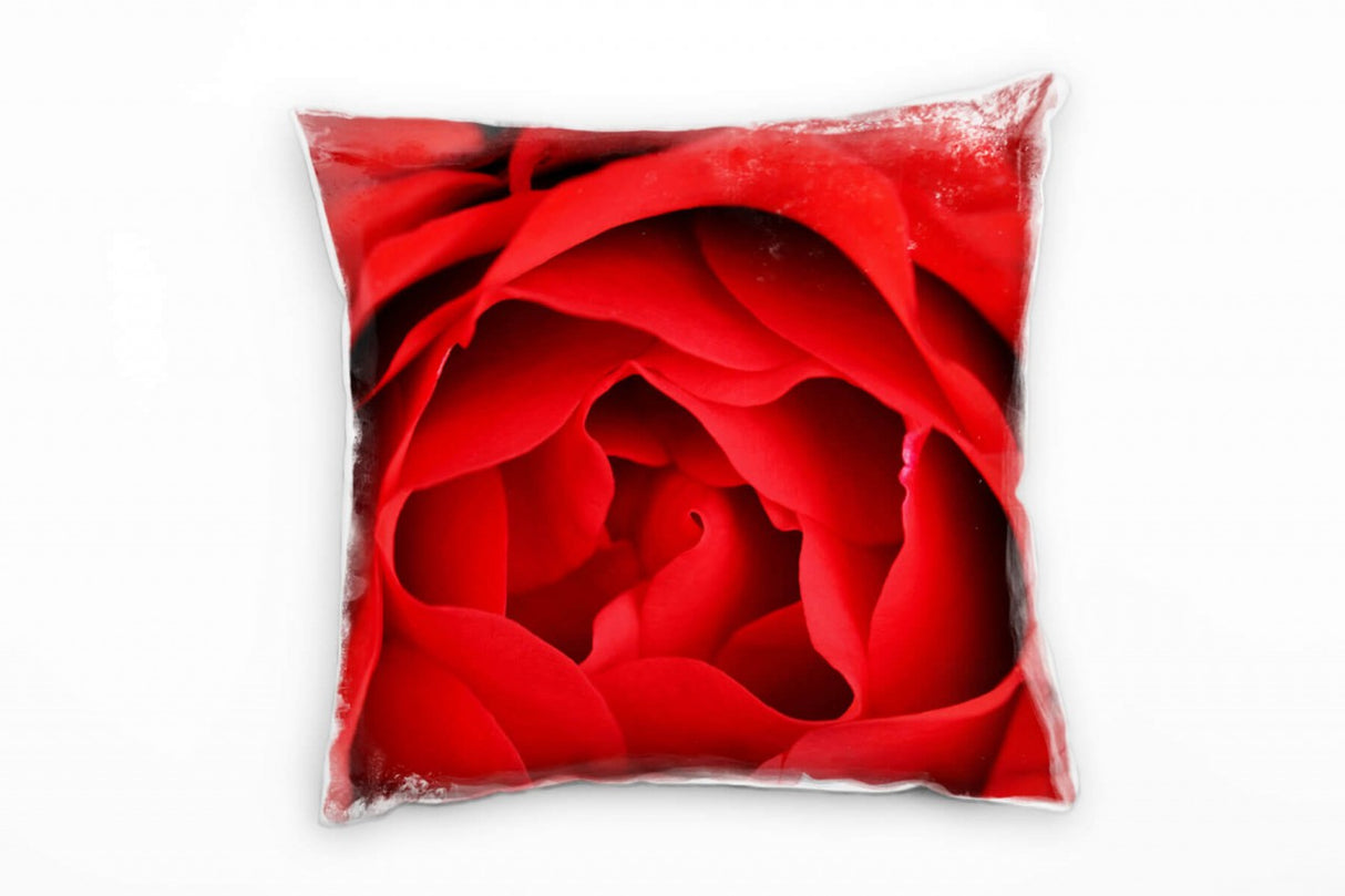 45434185_1280x1280.jpg