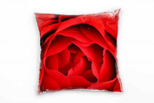 45434185_1280x1280.jpg