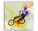 full_BMX_II_60x60cm_FRONT_1280x1280.jpg