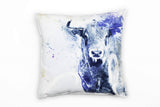 Bull_II_1280x1280.jpg