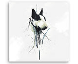 full_Bullterrier_60x60cm_FRONT_1280x1280.jpg