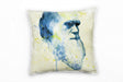 Charles_Darwin_1280x1280.jpg