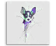 full_Chihuahua_60x60cm_FRONT_1280x1280.jpg