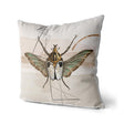 Insekten_040vNvoxYBDhkscI_1280x1280.jpg