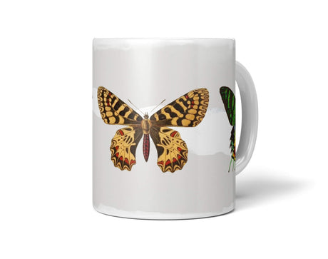 Insects_Cup_087_1280x1280.jpg