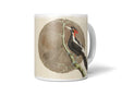 Birds_Cup_042_1280x1280.jpg