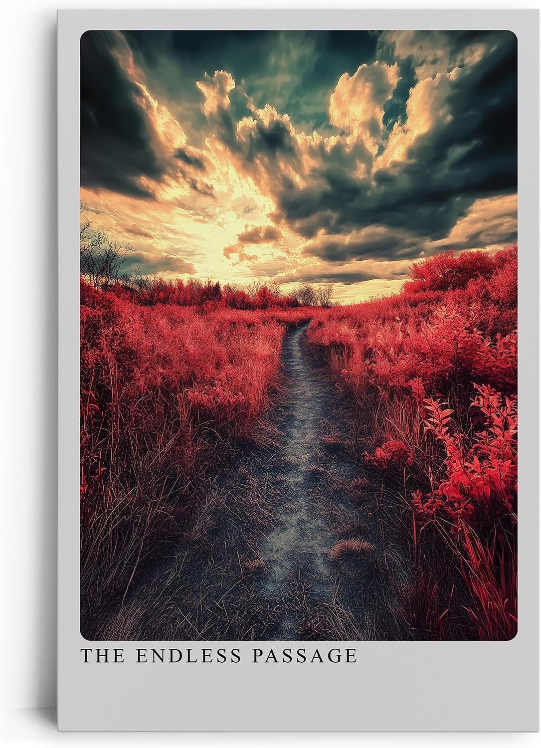 Paul Sinus Leinwandbild 40x60cm Der endlose Pfad – Dramatische Landschaft mit leuchtend roter Natur, bedrohlichem Himmel und mystischer Atmosphäre