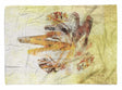SINUS_ART_1095oSDmlC48gDR8n_1280x1280.jpg