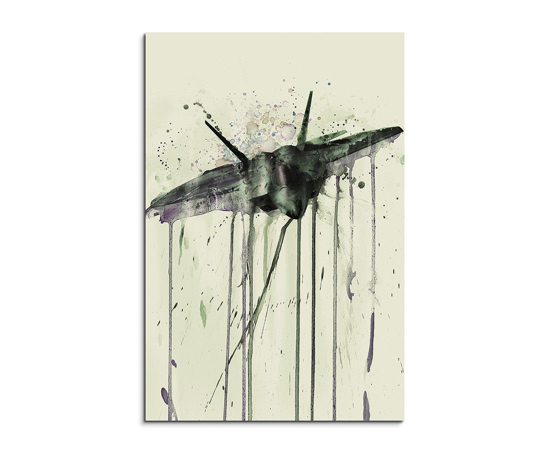 full_F_22_Raptor_90x60cm_FRONT_1280x1280.jpg