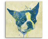 full_French_Dog_Aqua_60x60cm_FRONT_1280x1280.jpg