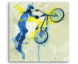 full_BMX_60x60cm_FRONT_1280x1280.jpg