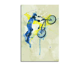 full_BMX_90x60cm_FRONT_1280x1280.jpg