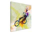 full_BMX_II_60x60cm_3d_1280x1280.jpg