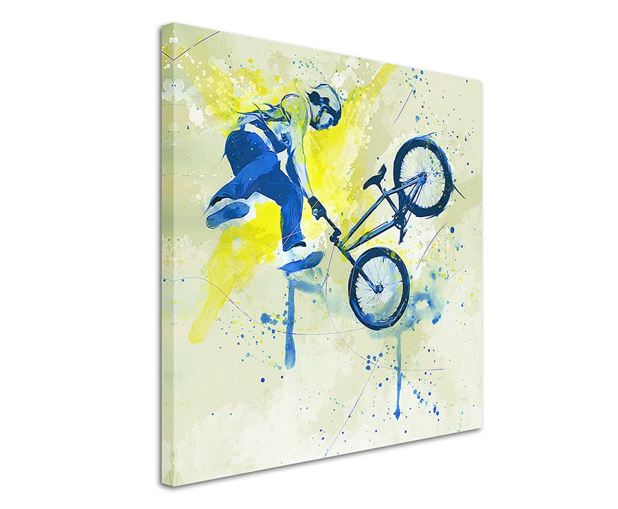 full_BMX_I_60x60cm_3d_1280x1280.jpg