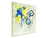 full_BMX_I_60x60cm_3d_1280x1280.jpg