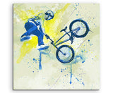 full_BMX_I_60x60cm_FRONT_1280x1280.jpg