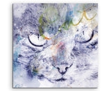 full_Cat_Eyes_60x60cm_FRONTclq1h4U0qZRJ8_1280x1280.jpg