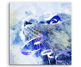 full_Cat_II_60x60cm_FRONThG5MjzJ8aS6iC_1280x1280.jpg