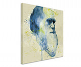 full_Charles_Darwin_Aqua_60x60cm_3d_1280x1280.jpg