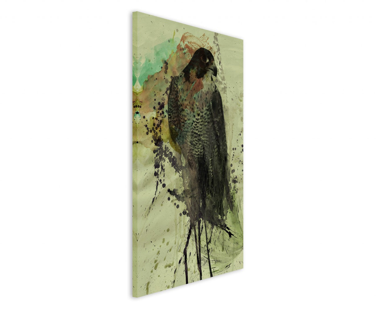 full_Falke_90x60cm_3d_1280x1280.jpg