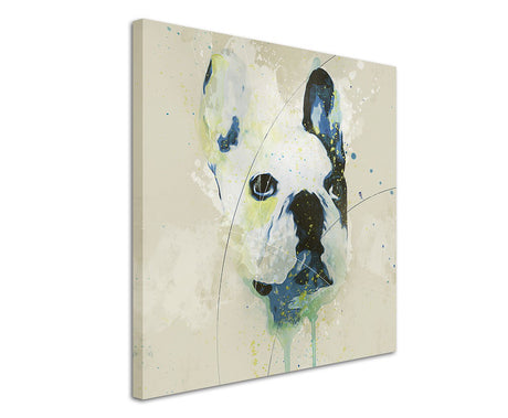 full_French_Bulldog_Aqua_60x60cm_3d_1280x1280.jpg