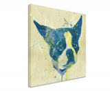full_French_Dog_Aqua_60x60cm_3d_1280x1280.jpg