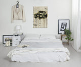 full_Mustang_Shelby_90x60cm_ROOM_1280x1280.jpg