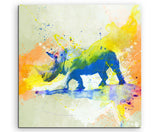 full_Rhino_60x60cm_FRONT_1280x1280-1.jpg