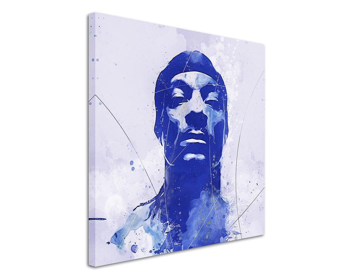 full_Snoop_Dogg_Aqua_60x60cm_3d_1280x1280.jpg