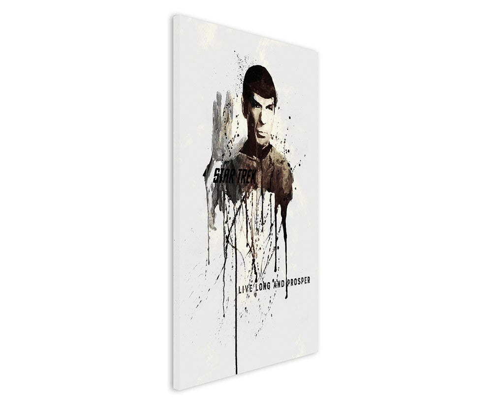 full_Spock_90x60cm_3d_1280x1280.jpg