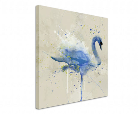 full_Swan_Aqua_60x60cm_3d_1280x1280.jpg
