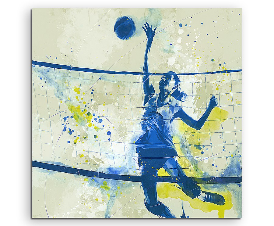 full_Volleyball_60x60cm_FRONT_1280x1280.jpg