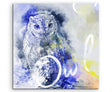full_Owl_60x60cm_FRONTJ5nmA8xMEDwtd_1280x1280.jpg