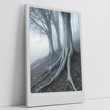 Paul Sinus Leinwandbild 60x90cm geheimnisvolle Waldszene mit nebelverhangenen Bäumen, mystische Wandkunst in kühlen Grautönen mit atmosphärischer Tiefe