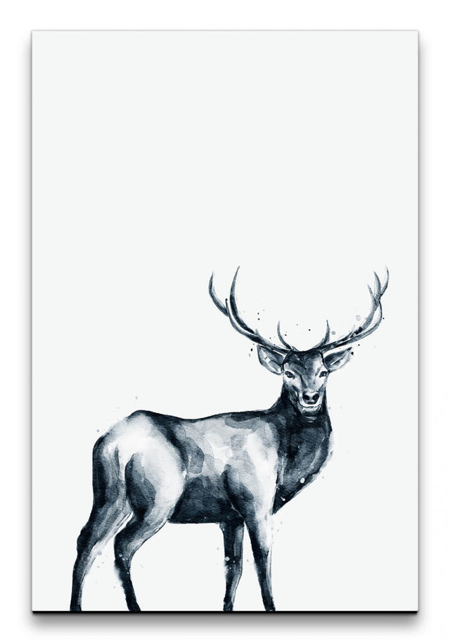 Tiere_041_1280x1280.jpg