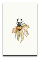 Insekten_036_1280x1280.jpg