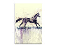 full_Horse_90x60cm_FRONT_1280x1280.jpg
